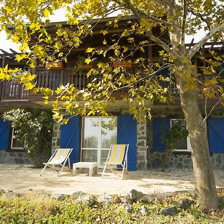 로제넷츠 Art Provence House 빌라 외부 사진