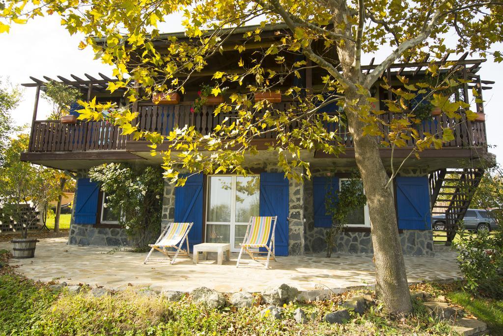 로제넷츠 Art Provence House 빌라 외부 사진